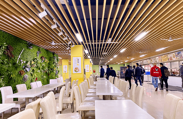 学历提升新机遇:低学历者如何逆风翻盘?(图1) 84f49f5570461128c6aafa57546471d.png