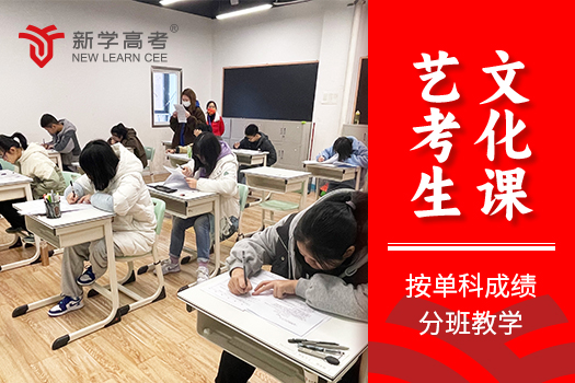 成都新学高考：艺考生的文化课“破局”之地
