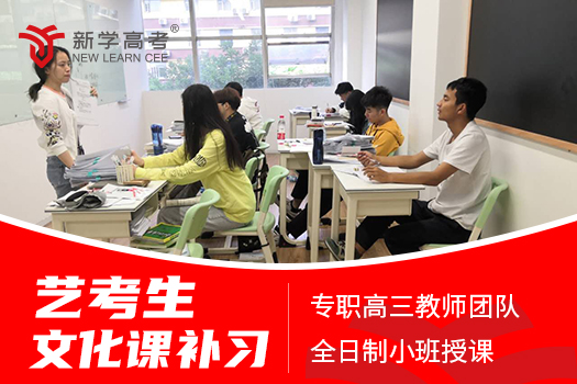 新学高考：艺考生文化课突围战，专业定制破解升学密码