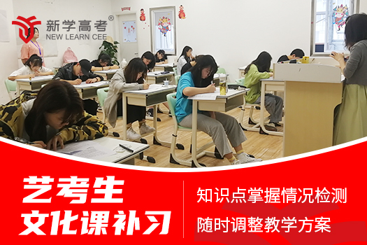 艺术生文化课突围战：一对一辅导，是捷径还是弯路？