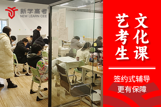 成都艺体生文化课冲刺指南：十大集训机构深度解析与推荐